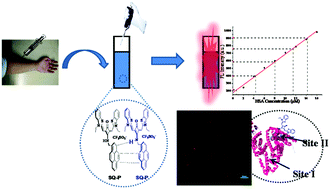 Graphical abstract: Nanoparticles self-assembled from multiple interactions: a novel near-infrared fluorescent sensor for the detection of serum albumin in human sera and turn-on live-cell imaging