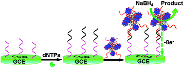 Graphical abstract: Platinum nanoparticles encapsulated metal–organic frameworks for the electrochemical detection of telomerase activity