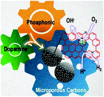 Graphical abstract: Biochemistry-inspired direct synthesis of nitrogen and phosphorus dual-doped microporous carbon spheres for enhanced electrocatalysis