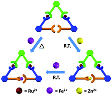 Graphical abstract: Metal-exchangeable macrocycles: from a bismetallo–Ru2/Zn triangle to a Ru2/Fe triangular assembly
