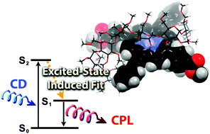 Graphical abstract: Oligoamylose-entwined porphyrin: excited-state induced-fit for chirality induction