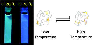 Graphical abstract: Turning the heat on conjugated polyelectrolytes: an off–on ratiometric nanothermometer