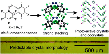Graphical abstract: Azo⋯phenyl stacking: a persistent self-assembly motif guides the assembly of fluorinated cis-azobenzenes into photo-mechanical needle crystals
