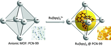 Graphical abstract: Topology-guided design of an anionic bor-network for photocatalytic [Ru(bpy)3]2+ encapsulation