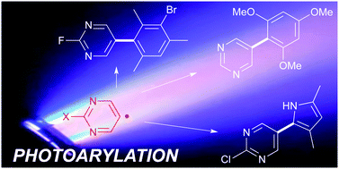 Graphical abstract: Metal-free arylation of pyrimidines through a photochemical process