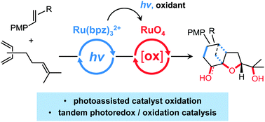 Graphical abstract: Photoassisted oxidation of ruthenium(ii)-photocatalysts Ru(bpy)32+ and Ru(bpz)32+ to RuO4: orthogonal tandem photoredox and oxidation catalysis