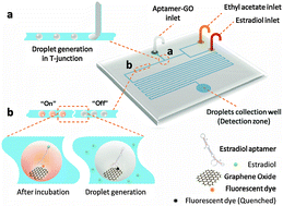 Graphical abstract: Interfacial nano-biosensing in microfluidic droplets for high-sensitivity detection of low-solubility molecules