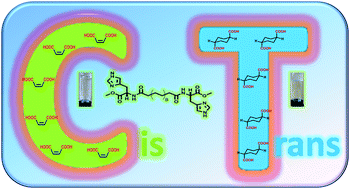 Graphical abstract: trans–cis Configuration regulated supramolecular polymer gels and chirality transfer based on a bolaamphiphilic histidine and dicarboxylic acids