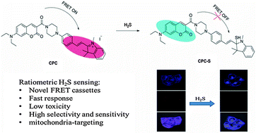 Graphical abstract: A new ratiometric fluorescent probe for rapid, sensitive and selective detection of endogenous hydrogen sulfide in mitochondria