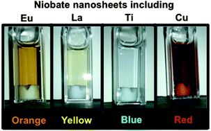 Graphical abstract: Multicolour photochromism of colloidal solutions of niobate nanosheets intercalated with several kinds of metal ions