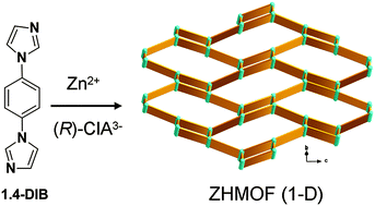 Graphical abstract: Enantiopure anion templated synthesis of a zeolitic metal–organic framework