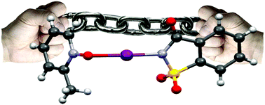 Graphical abstract: Very strong −N–X+⋯−O–N+ halogen bonds
