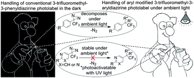 Graphical abstract: 3-Trifluoromethyl-3-aryldiazirine photolabels with enhanced ambient light stability