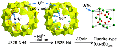 Graphical abstract: Neodymium uranyl peroxide synthesis by ion exchange on ammonium uranyl peroxide nanoclusters