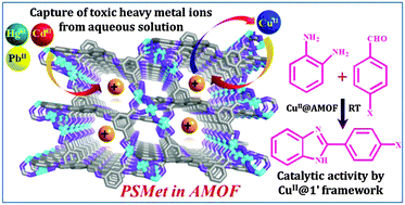 Graphical abstract: Post-synthetic metalation in an anionic MOF for efficient catalytic activity and removal of heavy metal ions from aqueous solution