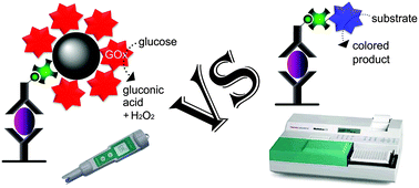 Graphical abstract: Enhanced ELISA using a handheld pH meter and enzyme-coated microparticles for the portable, sensitive detection of proteins
