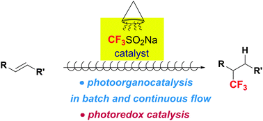 Graphical abstract: Photoorganocatalysed and visible light photoredox catalysed trifluoromethylation of olefins and (hetero)aromatics in batch and continuous flow