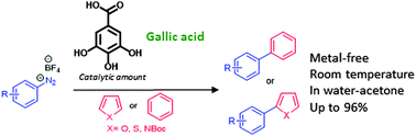 Graphical abstract: Radical C–H arylations of (hetero)arenes catalysed by gallic acid