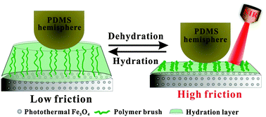 Graphical abstract: Photothermally actuated interfacial hydration for fast friction switch on hydrophilic polymer brush modified PDMS sheet incorporated with Fe3O4 nanoparticles