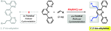 Graphical abstract: Rhodium-catalyzed selective C–H functionalization of NNN tridentate chelating compounds via a rollover pathway