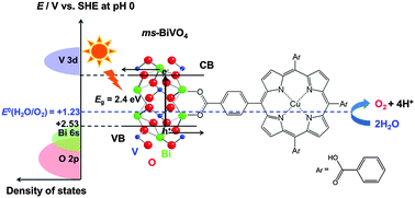 Graphical abstract: Visible-light-induced water oxidation by a hybrid photocatalyst consisting of bismuth vanadate and copper(ii) meso-tetra(4-carboxyphenyl)porphyrin