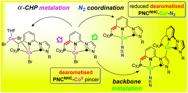Graphical abstract: Cobalt PNCNHC ‘pincers’: ligand dearomatisation, formation of dinuclear and N2 complexes and promotion of C–H activation