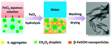 Graphical abstract: Synthesis of hierarchical porous β-FeOOH catalysts in ionic liquid/water/CH2Cl2 ionogels