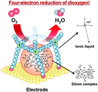 Graphical abstract: Immobilization of a non-heme diiron complex encapsulated in an ammonium-type ionic liquid layer modified on an Au electrode: reactivity of the electrode for O2 reduction