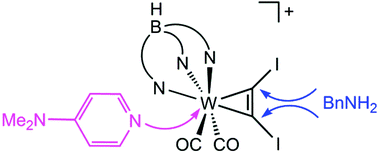 Graphical abstract: Dual nucleophilic substitution at a W(ii) η2-coordinated diiodo acetylene leading to an amidinium carbyne complex