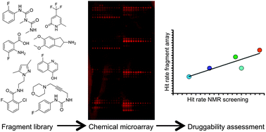 Graphical abstract: Chemical fragment arrays for rapid druggability assessment