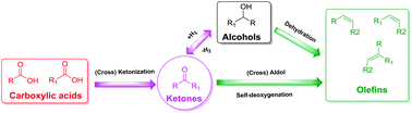 Graphical abstract: Beyond ketonization: selective conversion of carboxylic acids to olefins over balanced Lewis acid–base pairs