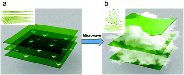 Graphical abstract: Solvo-thermal microwave-powered two-dimensional material exfoliation