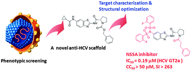 Graphical abstract: The discovery and characterization of a novel scaffold as a potent hepatitis C virus inhibitor