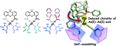 Graphical abstract: Dinuclear organogold(i) complexes bearing uracil moieties: chirality of Au(i)–Au(i) axis and self-assembly