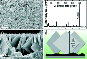 Graphical abstract: Tailoring of {116} faceted single crystalline anatase nanosheet arrays and their improved electrochemical performance