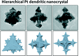 Graphical abstract: One step synthesis of hierarchical dendritic Pt nanostructures with a concave Pt octahedron building unit via simultaneous vertex growth and facet etching
