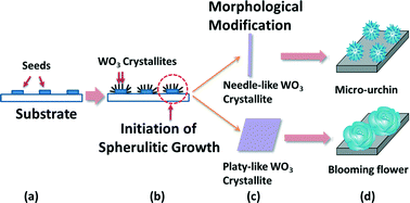 Graphical abstract: Electrochromic performance of WO3 films: optimization by crystal network topology modification