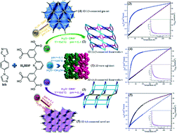 Graphical abstract: Structural diversity of five coordination polymers based on 2,6-bis(3,5-dicarboxyphenyl)pyridine ligand: solvothermal syntheses, structural characterizations, and magnetic properties