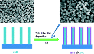 Graphical abstract: Facile formation of ZIF-8 thin films on ZnO nanorods