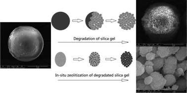Graphical abstract: Facile control of inter-crystalline porosity in the synthesis of size-controlled mesoporous MFI zeolites via in situ conversion of silica gel into zeolite nanocrystals for catalytic cracking