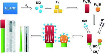 Graphical abstract: Role of catalyst in controlling the growth and morphology of one-dimensional SiC nanostructures