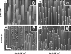 Graphical abstract: Mass-transport driven growth dynamics of AlGaAs shells deposited around dense GaAs nanowires by metalorganic vapor phase epitaxy