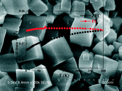 Graphical abstract: Surface-dependent magnetic behavior of α-Fe2O3 quasi-cubes induced by Mg2+ ions