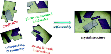 Graphical abstract: Supramolecular features in the engineering of 3d metal complexes with phenyl-substituted imidazoles as ligands: the case of copper(ii)