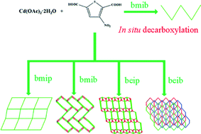 Graphical abstract: Crystal engineering of cadmium coordination polymers decorated with nitro-functionalized thiophene-2,5-dicarboxylate and structurally related bis(imidazole) ligands with varying flexibility