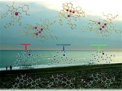 Graphical abstract: Cobalt(ii/iii), nickel(ii) and copper(ii) coordination clusters employing a monoanionic Schiff base ligand: synthetic, topological and computational mechanistic aspects