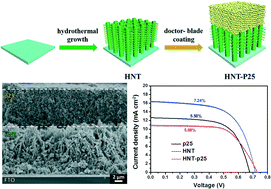 Graphical abstract: Fabrication and integration of quasi-one-dimensional hierarchical TiO2 nanotubes for dye-sensitized solar cells