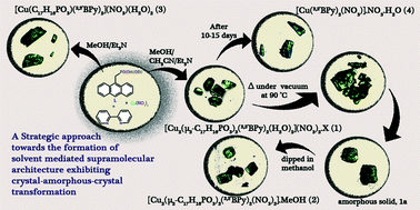 Graphical abstract: Solvent-mediated supramolecular templated assembly of a metal organophosphonate via a crystal–amorphous–crystal transformation