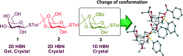 Graphical abstract: Hydrogen bonding-induced conformational change in a crystalline sugar derivative