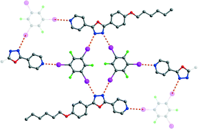 Graphical abstract: Extending the halogen-bonded supramolecular synthon concept to 1,3,4-oxadiazole derivatives